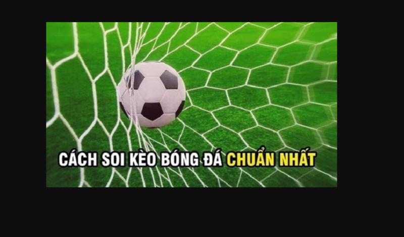 Nghiên cứu kỹ lưỡng về các đội tham gia