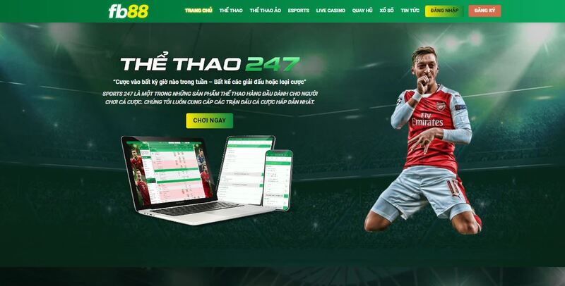 Trải nghiệm săn thưởng, tìm kiếm thu nhập