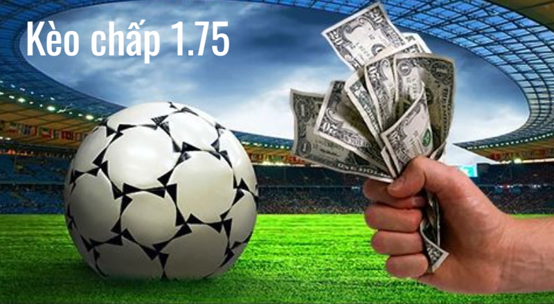 Soi kèo cực chuẩn cùng các chuyên gia